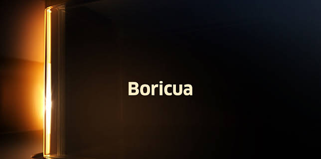 Chicago Boricua (2005)