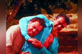 Young Duke: The Shadow Gang