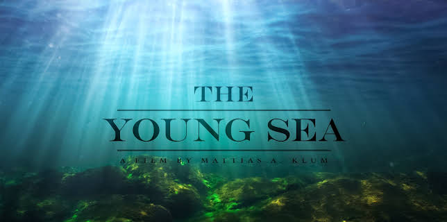 The Young Sea (2018)