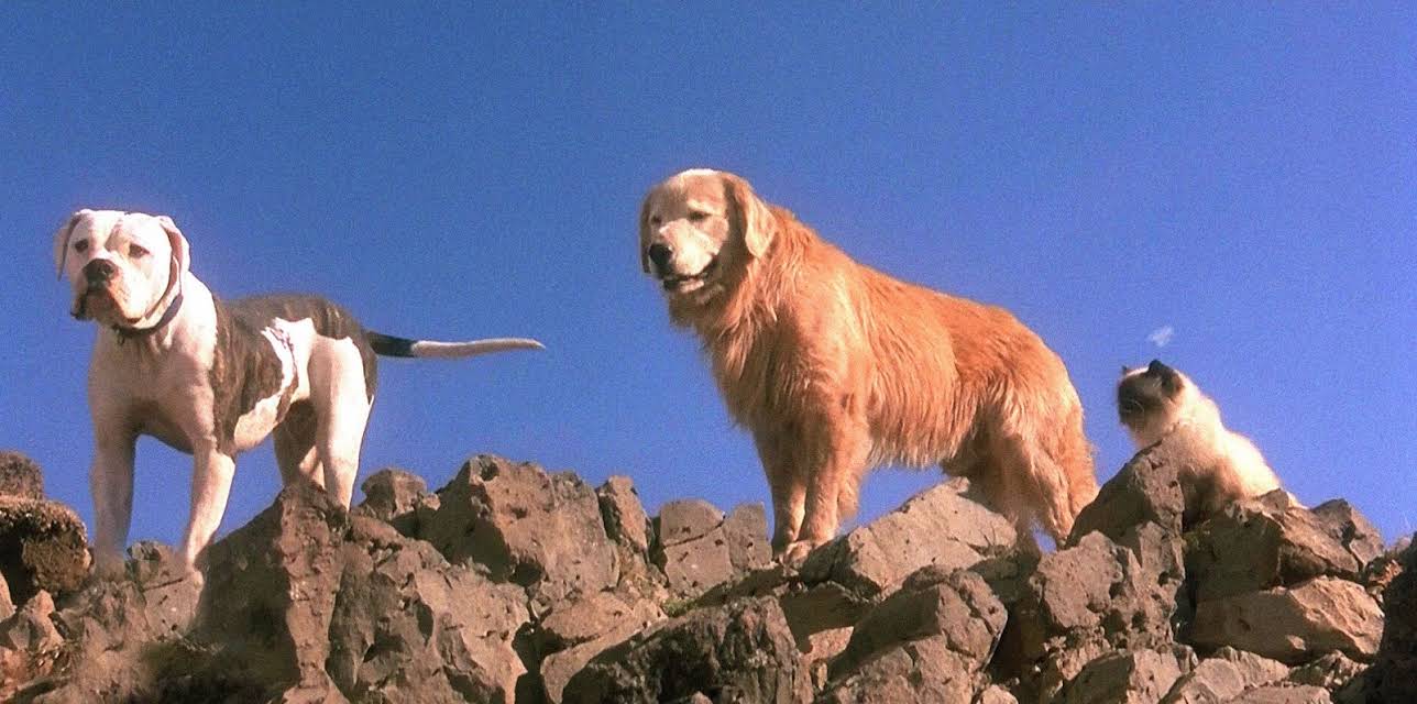 Homeward Bound: The Incredible Journey (1993)