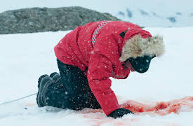 Fortitude: Episode 10