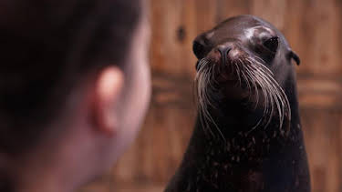 9:00 AM: The Aquarium (S2) | Discovery Channel | 8/21 2026