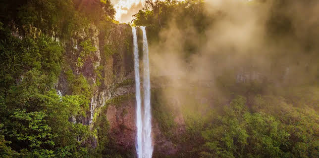 20:15: Expeditionen ins Tierreich | Radio Bremen | 3/4 2026