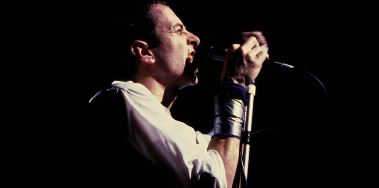 Joe Strummer: The Future Is Unwritten (2007)
