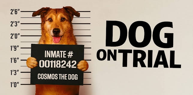 Dog on Trial (Le Procès du chien) (2025)
