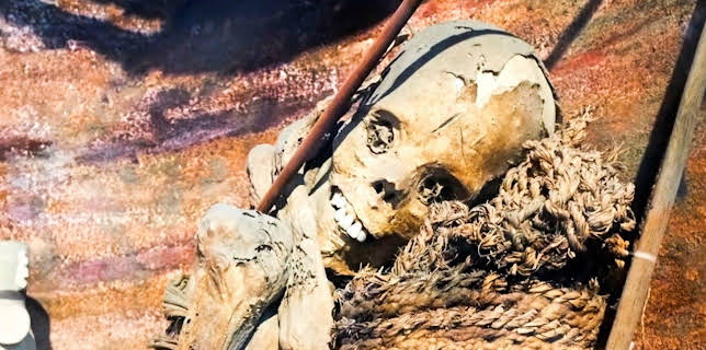 10:05: Verborgen im Dschungel - Geheimnisse aus der Vergangenheit | Kabel Eins Doku | 1/8 2026