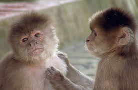 Absurd Planet: We're All the Same