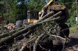 Swamp Loggers: Episode 9