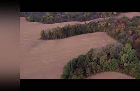 The One: Second Chance At The Grigsby