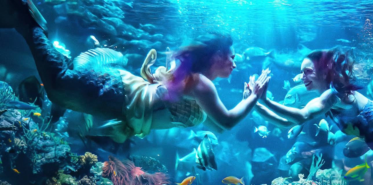 MerPeople