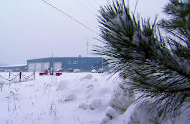 American Loggers Season 1: White Gold