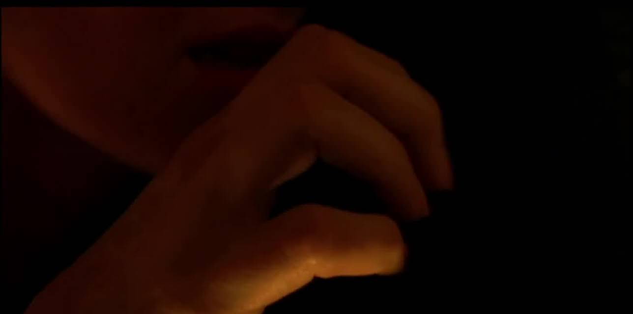 Inland Empire (2007)