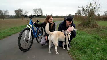 19:05: Die Unvermittelbaren - Mit Martin Rütter: Das große Wiedersehen | RTL | 4/5 2026