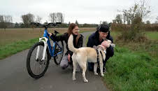 Die Unvermittelbaren - Mit Martin Rütter: Das große Wiedersehen