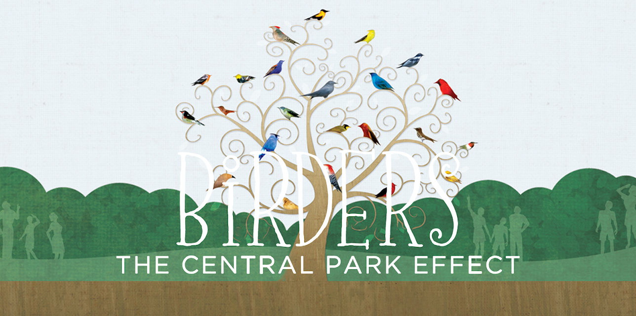 Birders: The Central Park Effect (2012)