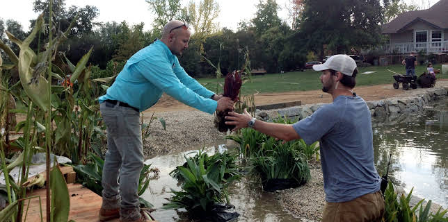 19:00: The Pool Master (S1 E7) (S1) | Animal Planet | 2/10 2026