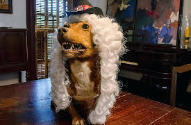 Scariest House in America, Season 1: Scariest in the Spooky South