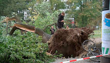 Die spektakulärsten Wetterphänomene in Berlin (1/2)