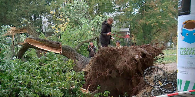 20:15: Die spektakulärsten Wetterphänomene in Berlin (1/2) | RBB Fernsehen | 3/6 2026