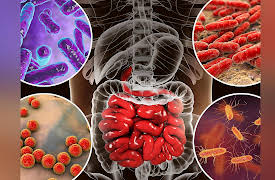 Language and the Mind: How the Brain Created Language