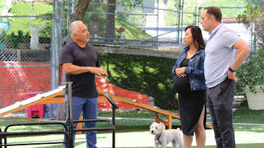 16:30: Cesar Millan: Better Human Better Dog - Bessere Menschen, bessere Hunde | Sixx | 4/12 2026