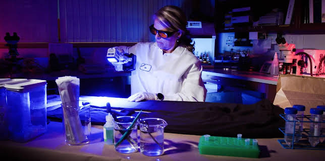 03:00: Medical Detectives - Geheimnisse der Gerichtsmedizin | VOX | 12/12 2025