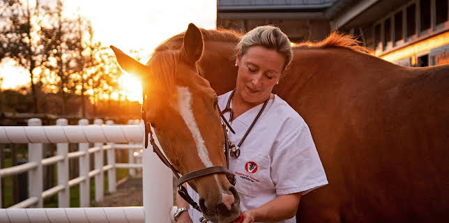10:25: Die Tierärzte - Retter mit Herz (52) | WDR Fernsehen | 3/24 2026