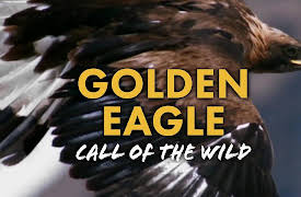 Golden Eagle: Call of the Wild: The Adventure