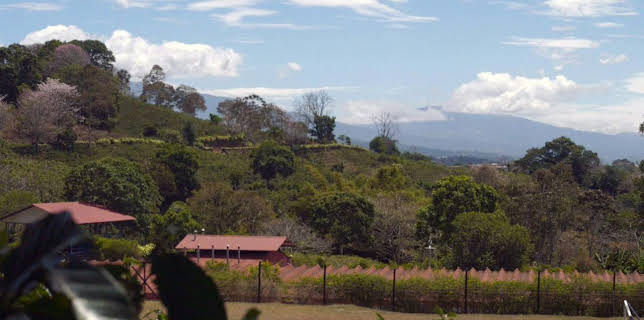 10:05: Stadt Land Kunst Spezial | Arte | 1/17 2026