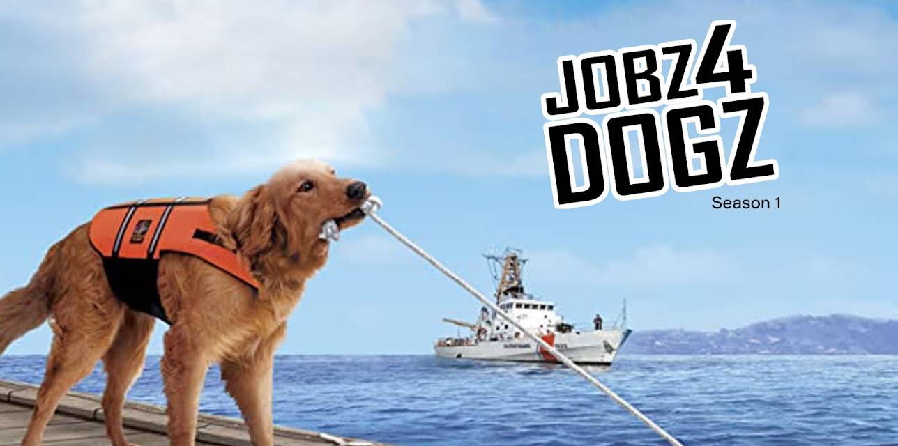 Jobz 4 Dogz