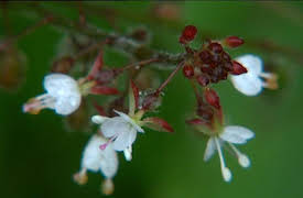 Bonderøven: Episode 18