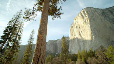 09:55: Amerikas beste Idee - 150 Jahre Nationalparks in den USA | Arte | 10/26 2026