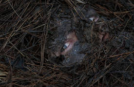 The Terminal List: Transience