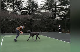 Stars to the Rescue: Stars to the Rescue