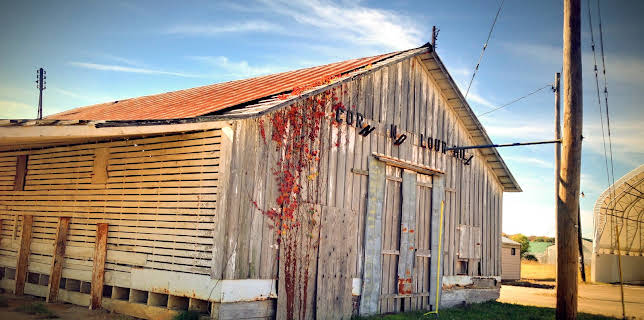 02:20: Min nabo er morder (S4 E11) (S4) | FEM | 11/4 2025