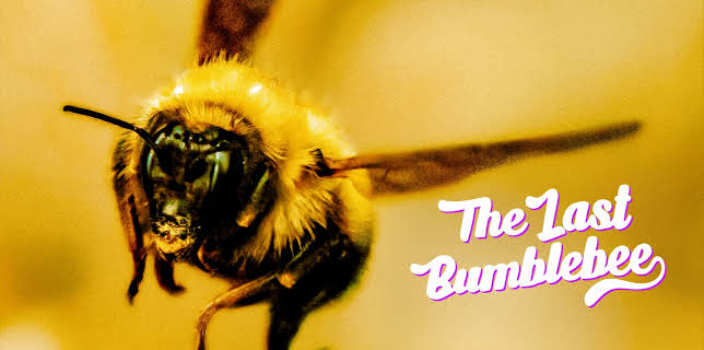 The Last Bumblebee (2023)