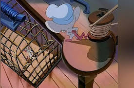 Steven Spielberg Presents Pinky and the Brain: The Complete First Volume: Napoleon Brainaparte