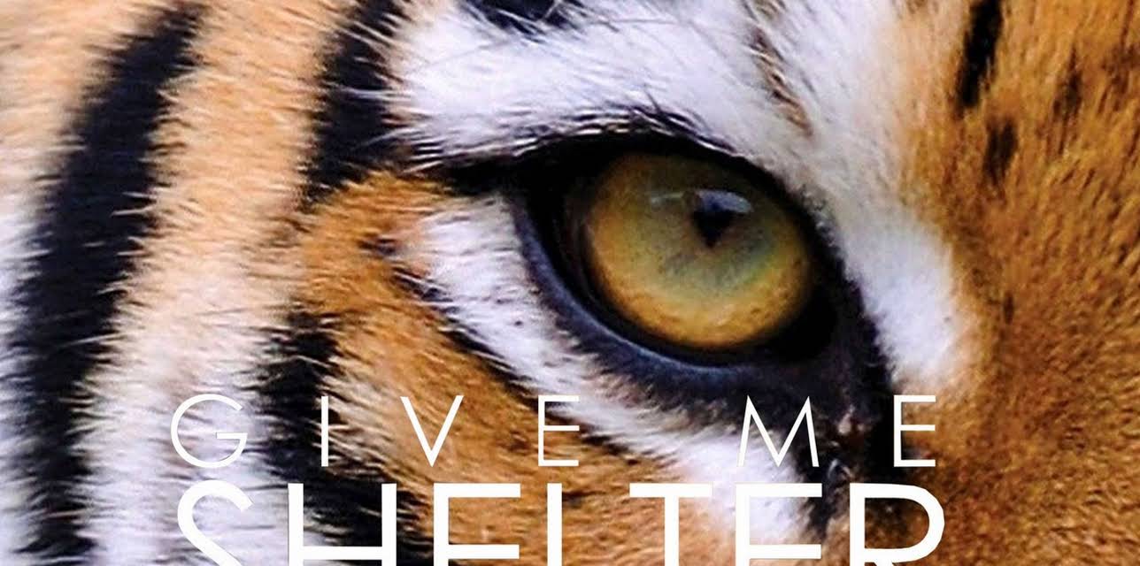 Give Me Shelter (2014)