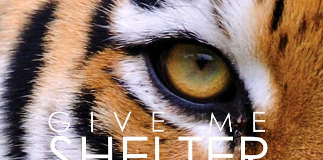 Give Me Shelter (2014)