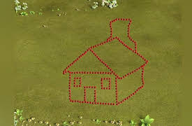 Boom & Reds: Wooden House