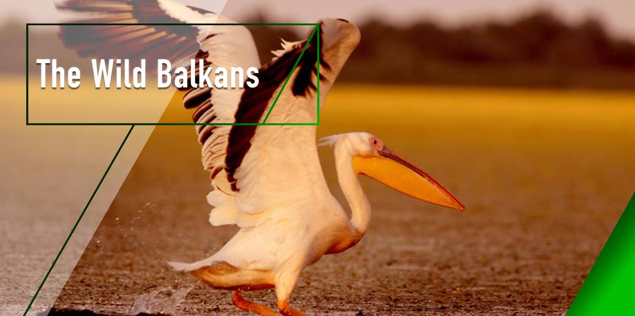 The Wild Balkans (2009)