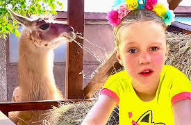 Like Nastya: Hi Alpaca