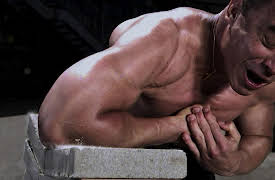 discovery+ Immersions: World of Wow: Bodies in Motion