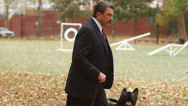 12:40 PM: Blue Bloods (S4 E9) (S4) | 5 USA | 7/12 2026