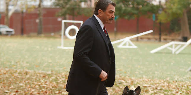 1:10 PM: Blue Bloods (S4 E9) (S4) | 5 USA | 11/23 2025