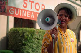 The Politician: October Surprise