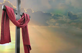 The Great Ideas of Philosophy, 2nd Edition: The Stoic Bridge to Christianity