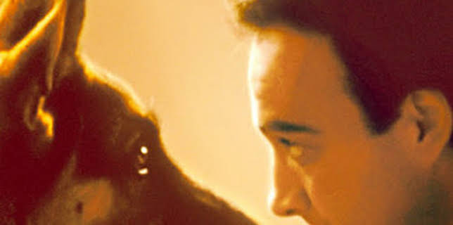 14:50: Superagente K-9 (IMDb 6.1) | 13 TV | 1/2 2026