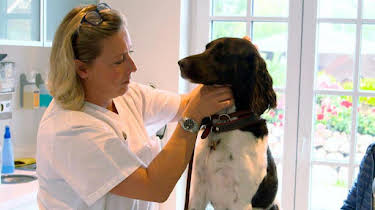 14:00: Die Tierärzte – Retter mit Herz | Das Erste | 11/15 2025