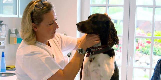 04:45: Die Tierärzte – Retter mit Herz | Das Erste | 11/18 2025